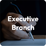 Executive Category